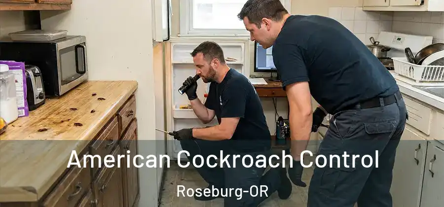  American Cockroach Control Roseburg-OR