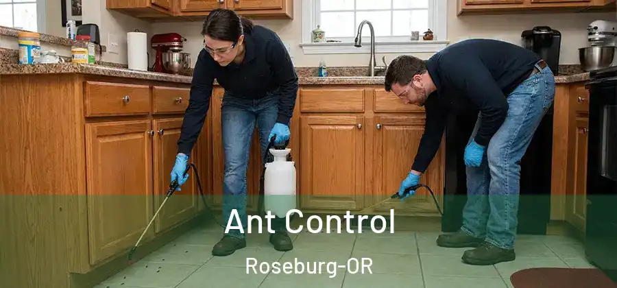 Ant Control Roseburg-OR