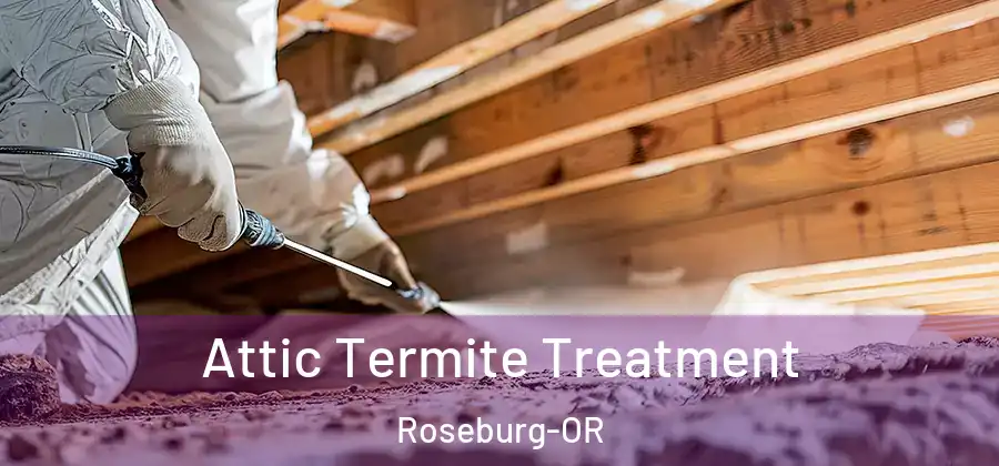 Attic Termite Treatment Roseburg-OR