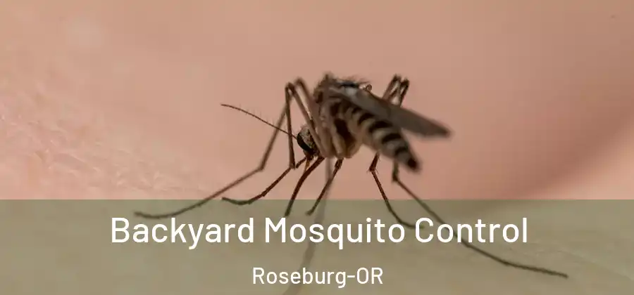  Backyard Mosquito Control Roseburg-OR