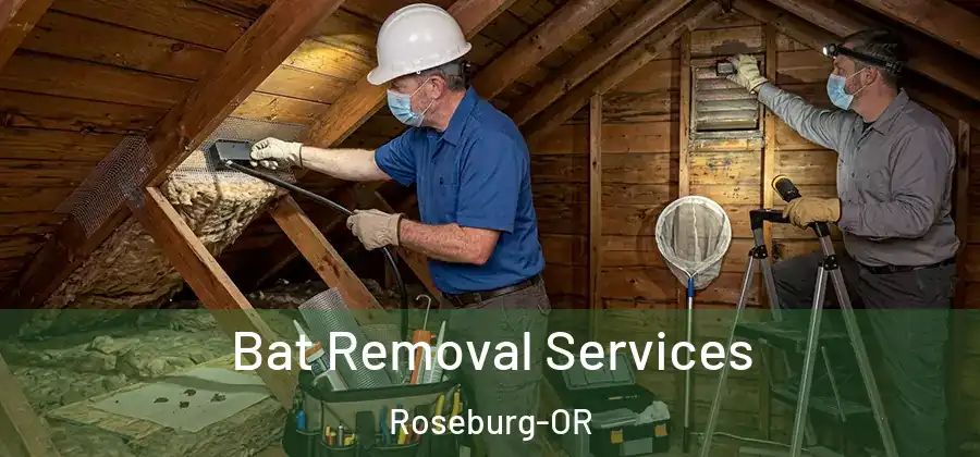  Bat Removal Services Roseburg-OR