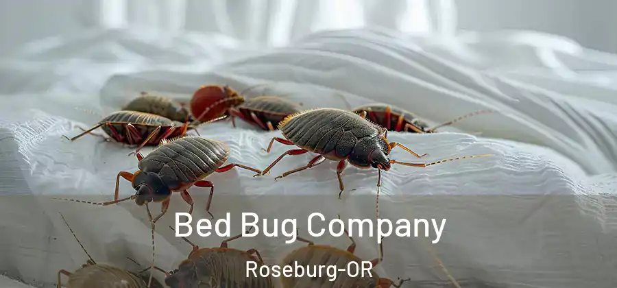 Bed Bug Company Roseburg-OR