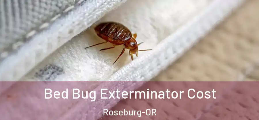  Bed Bug Exterminator Cost Roseburg-OR