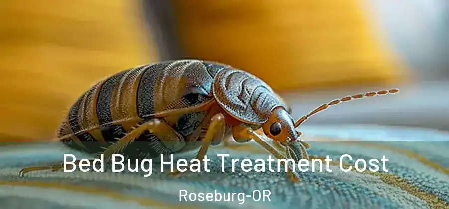 Bed Bug Heat Treatment Cost Roseburg-OR