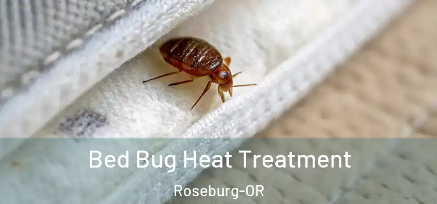 Bed Bug Heat Treatment Roseburg-OR