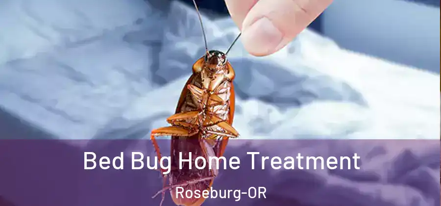 Bed Bug Home Treatment Roseburg-OR