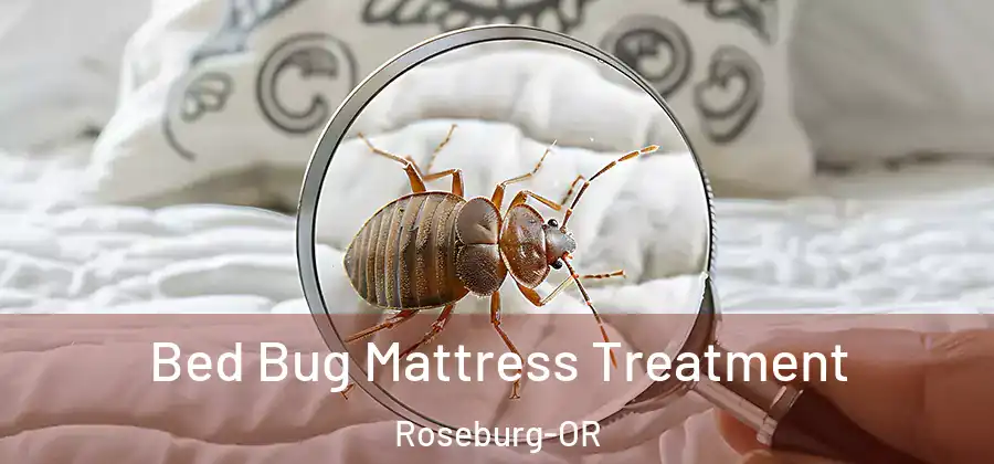 Bed Bug Mattress Treatment Roseburg-OR