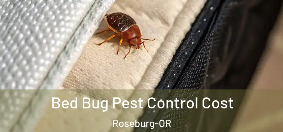 Bed Bug Pest Control Cost Roseburg-OR