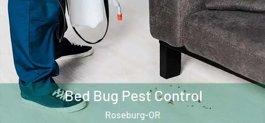  Bed Bug Pest Control Roseburg-OR
