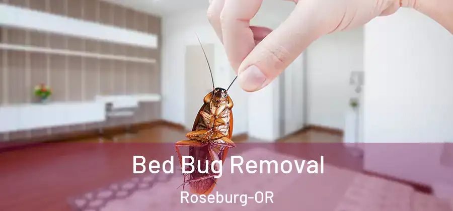 Bed Bug Removal Roseburg-OR