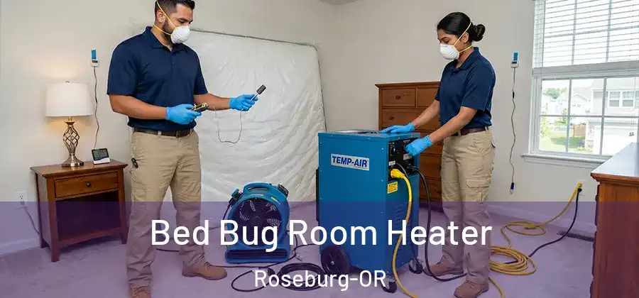 Bed Bug Room Heater Roseburg-OR