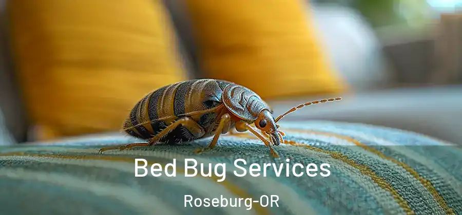 Bed Bug Services Roseburg-OR