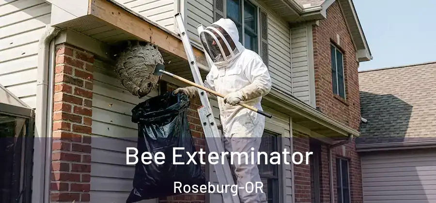 Bee Exterminator Roseburg-OR