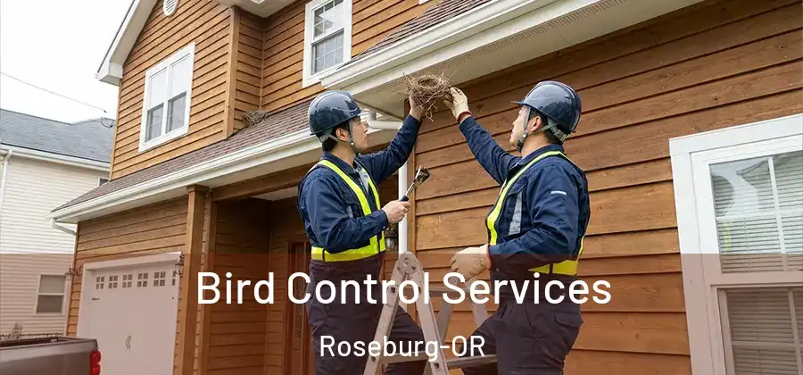 Bird Control Services Roseburg-OR