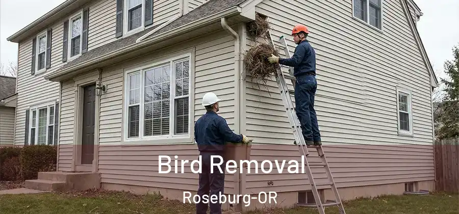  Bird Removal Roseburg-OR