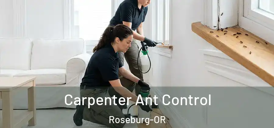 Carpenter Ant Control Roseburg-OR