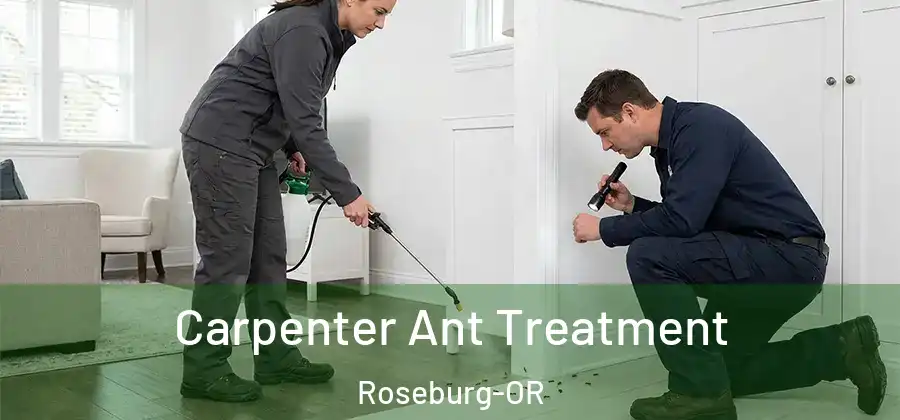 Carpenter Ant Treatment Roseburg-OR