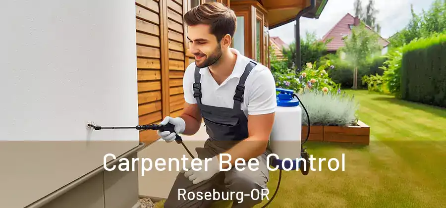 Carpenter Bee Control Roseburg-OR