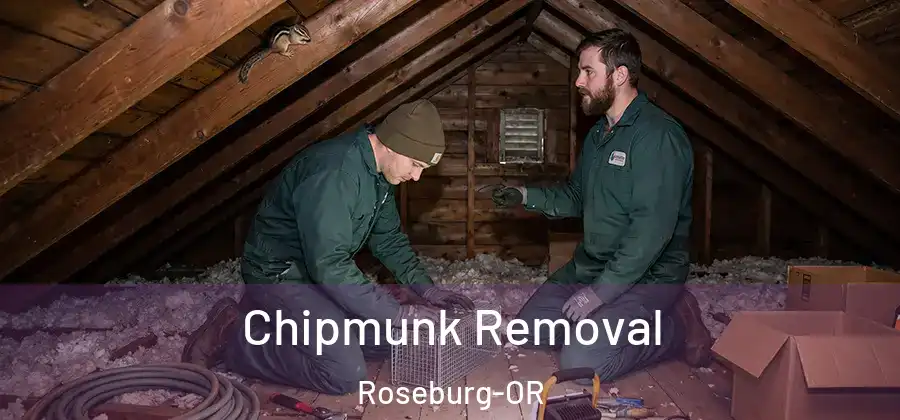 Chipmunk Removal Roseburg-OR