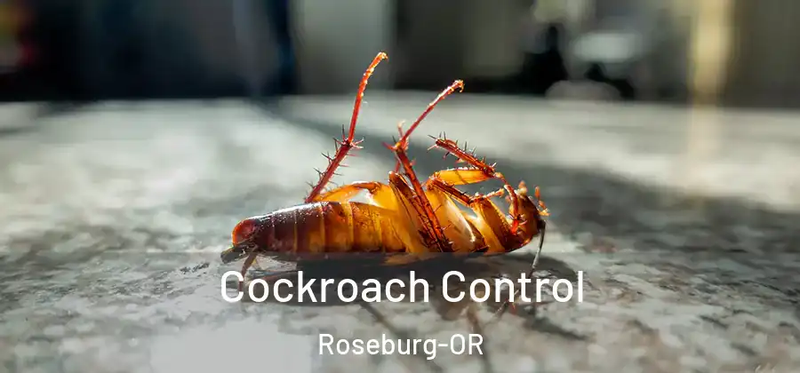  Cockroach Control Roseburg-OR