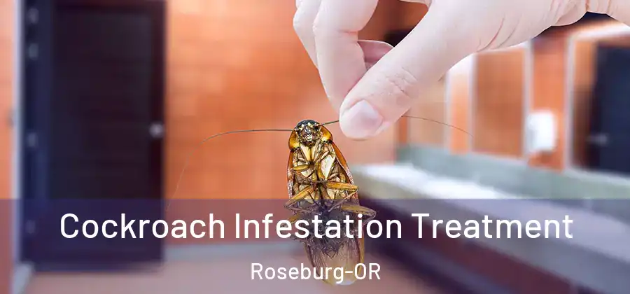 Cockroach Infestation Treatment Roseburg-OR