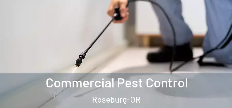 Commercial Pest Control Roseburg-OR