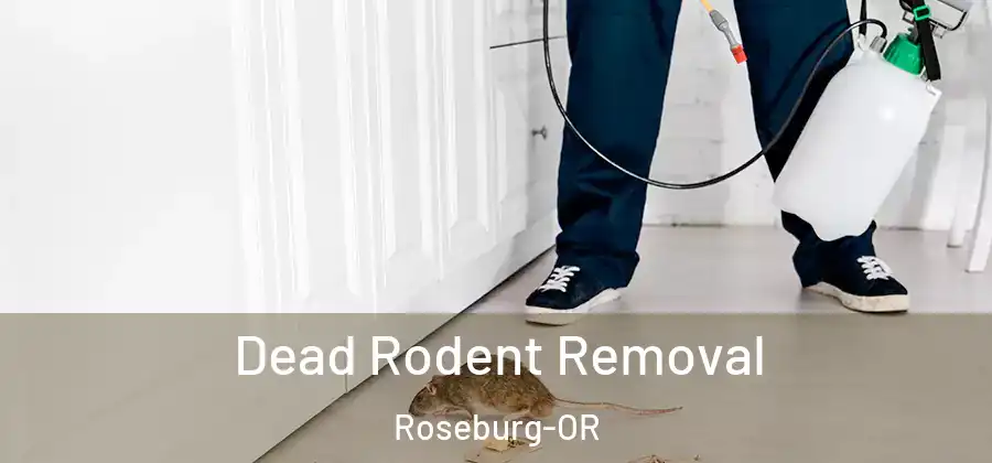 Dead Rodent Removal Roseburg-OR