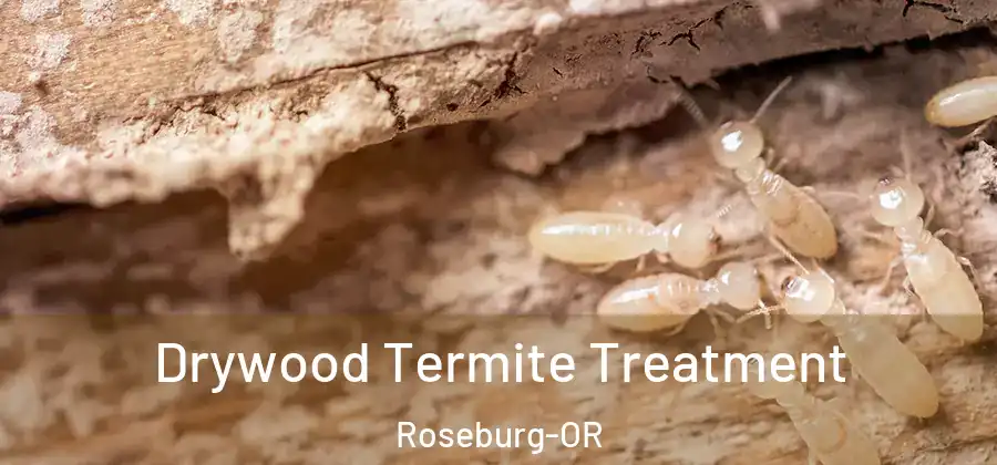 Drywood Termite Treatment Roseburg-OR