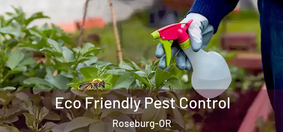 Eco Friendly Pest Control Roseburg-OR