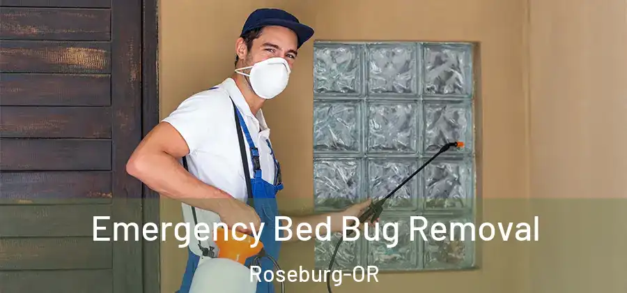 Emergency Bed Bug Removal Roseburg-OR