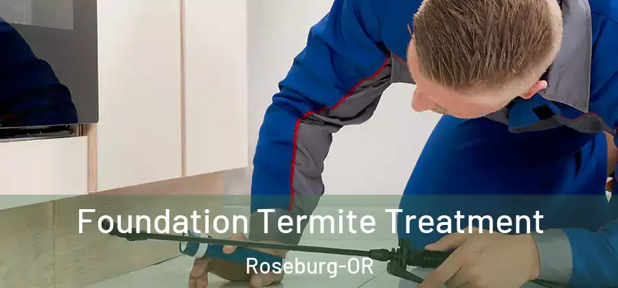 Foundation Termite Treatment Roseburg-OR