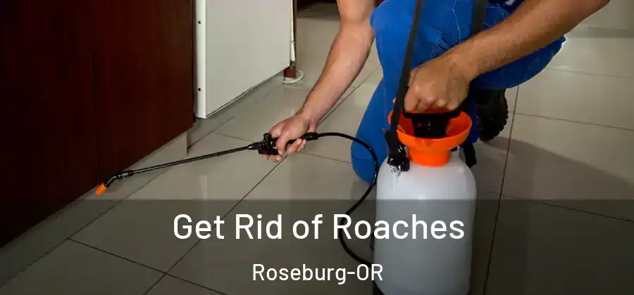  Get Rid of Roaches Roseburg-OR