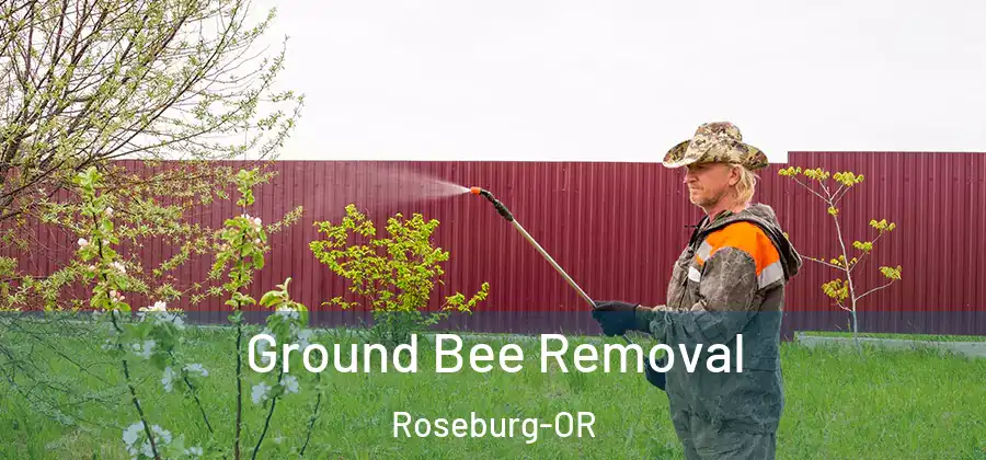 Ground Bee Removal Roseburg-OR