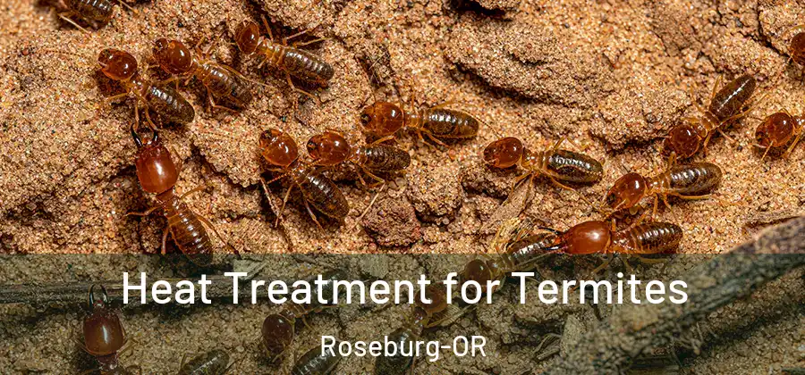 Heat Treatment for Termites Roseburg-OR