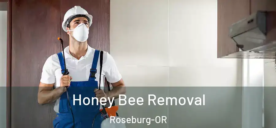 Honey Bee Removal Roseburg-OR