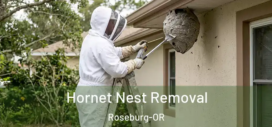 Hornet Nest Removal Roseburg-OR
