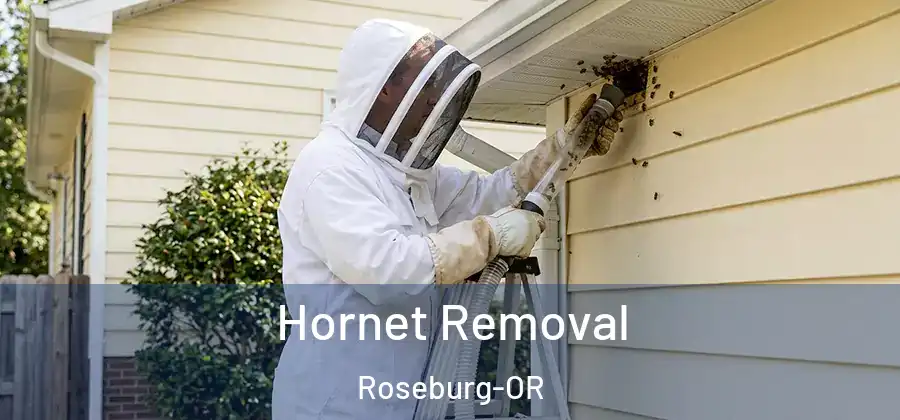 Hornet Removal Roseburg-OR