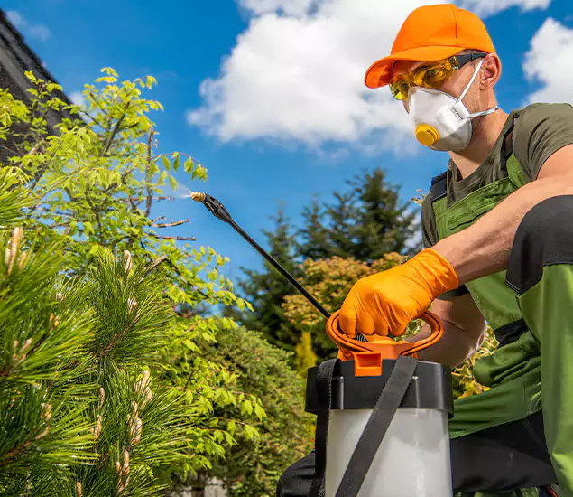 Your Mosquito Repellent Barrier Service in Roseburg, OR
