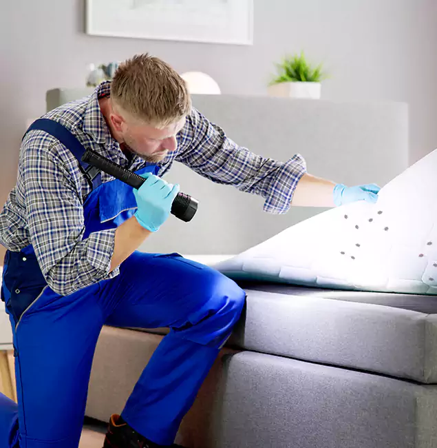 Why Choose Roseburg Pest Control Pro For Bed Bug Heat Treatment in Roseburg, OR?