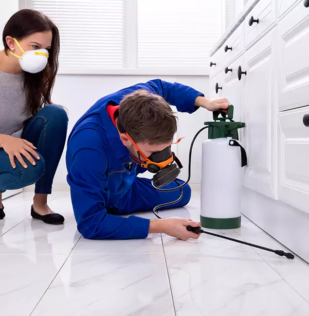 Why Roseburg, OR Homeowners Trust Roseburg Pest Control Pro for Roach Control?