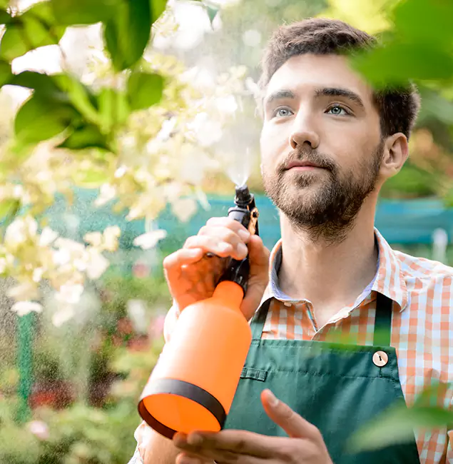 Why Roseburg Homeowners Call Roseburg Pest Control Pro for Mosquitoes in House?