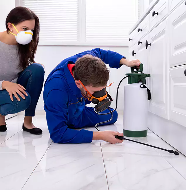 Why Choose Roseburg Pest Control Pro for Termite Inspection Cost in Roseburg, OR?