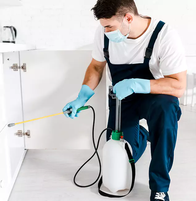 Why Choose Roseburg Pest Control Pro for Termite Spot Treatment in Roseburg, OR?