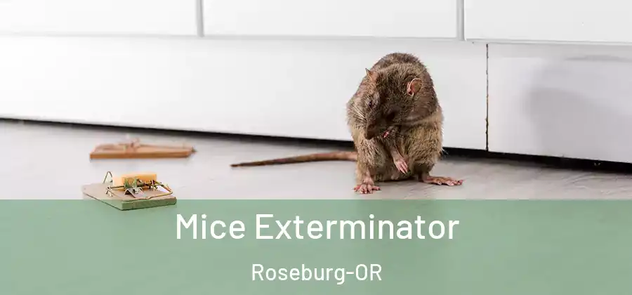 Mice Exterminator Roseburg-OR