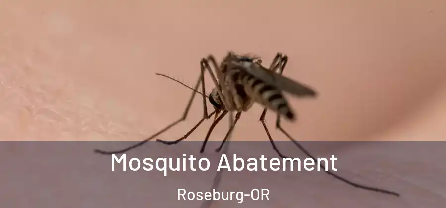 Mosquito Abatement Roseburg-OR