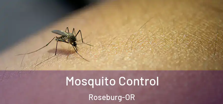 Mosquito Control Roseburg-OR