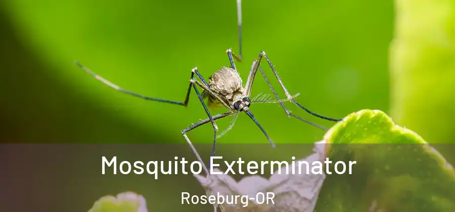 Mosquito Exterminator Roseburg-OR
