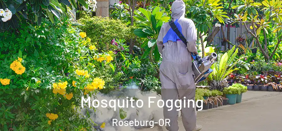Mosquito Fogging Roseburg-OR