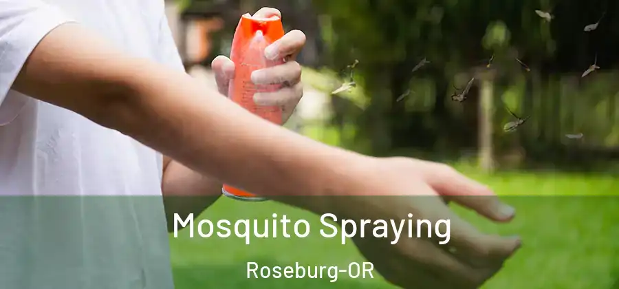  Mosquito Spraying Roseburg-OR