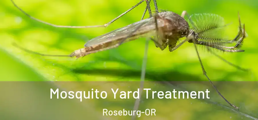 Mosquito Yard Treatment Roseburg-OR